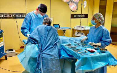 Quanto costa l’Anestesia Totale dal Dentista?